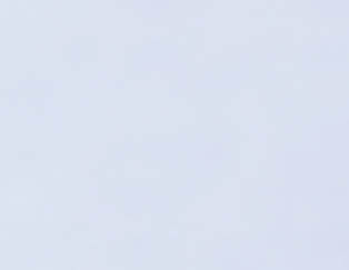 With a live feed webcam over their nest in Fort Myers Beach   An osprey with wings spread wide fly off his nest while his mate stays   Ospreys mate for life and typically live for 7-10 years 