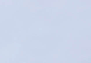 With a live feed webcam over their nest in Fort Myers Beach   An osprey with wings spread wide fly off his nest while his mate stays   Ospreys mate for life and typically live for 7-10 years 