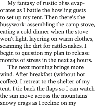 My fantasy of rustic bliss evaporates as I battle the howling gusts to set up my tent  Then there s the busywork: ass   