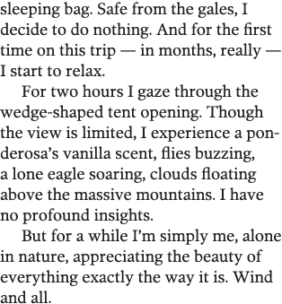 sleeping bag  Safe from the gales, I decide to do nothing  And for the first time on this trip — in months, really —    