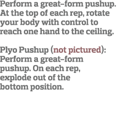 Perform a great-form pushup  At the top of each rep, rotate your body with control to reach one hand to the ceiling     