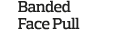 Banded Face Pull