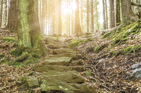 Stone staircase leading up a walkway through the Doubrava valley, Czech Republic with sun light at up