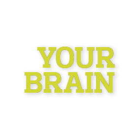  Your Brain 
