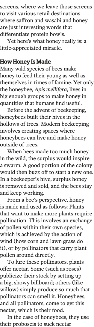 screens, where we leave those screens to visit various retail destinations where saffron and wasabi and honey are jus   