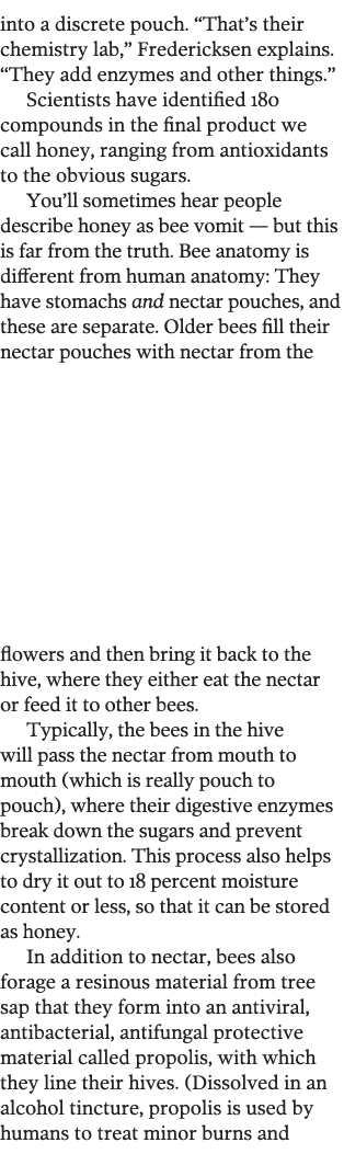 into a discrete pouch   That s their chemistry lab,  Fredericksen explains   They add enzymes and other things   Scie   