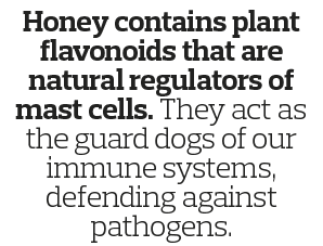 Honey contains plant flavonoids that are natural regulators of mast cells  They act as the guard dogs of our immune s   