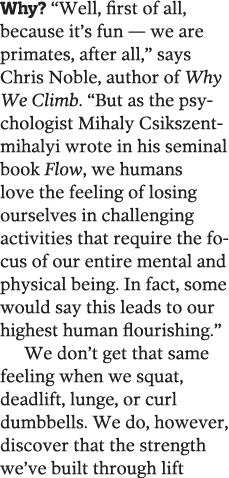 Why   Well, first of all, because it s fun — we are primates, after all,  says Chris Noble, author of Why We Climb      