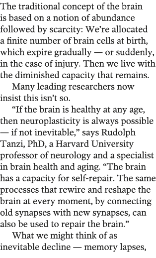 The traditional concept of the brain is based on a notion of abundance followed by scarcity: We re allocated a finite   