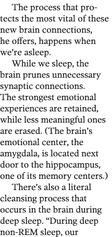 The process that pro tects the most vital of these new brain connections, he offers, happens when we re asleep  While   