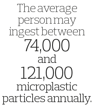 The average person may ingest between 74,000 and 121,000 microplastic particles annually 