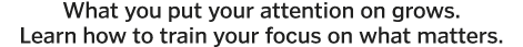 What you put your attention on grows  Learn how to train your focus on what matters 