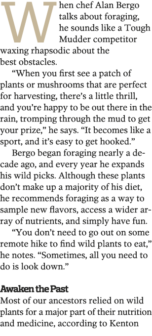 When chef Alan Bergo talks about foraging, he sounds like a Tough Mudder competitor waxing rhapsodic about the best o   