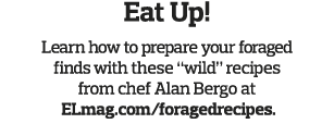 Eat Up  Learn how to prepare your foraged finds with these  wild  recipes from chef Alan Bergo at  ELmag com foragedr   
