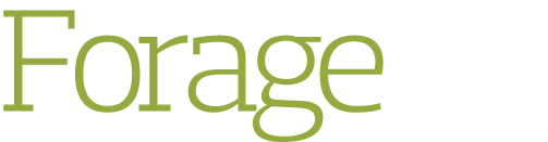 Forage
