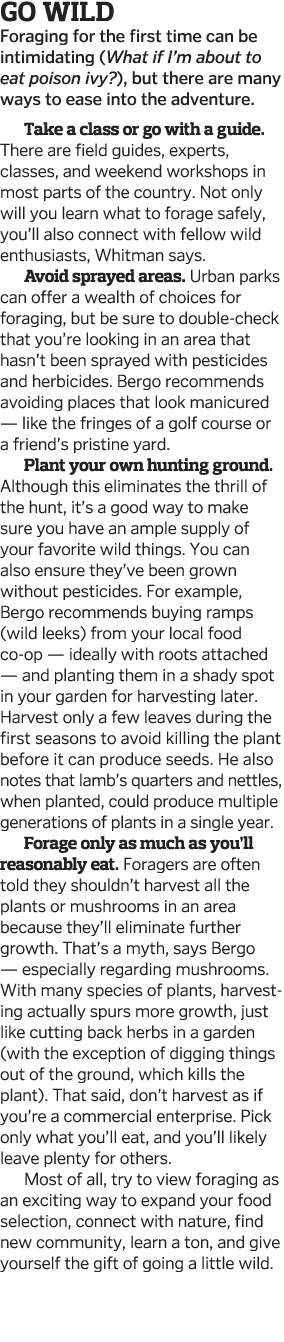 Go Wild Foraging for the first time can be intimidating (What if I m about to eat poison ivy ), but there are many wa   