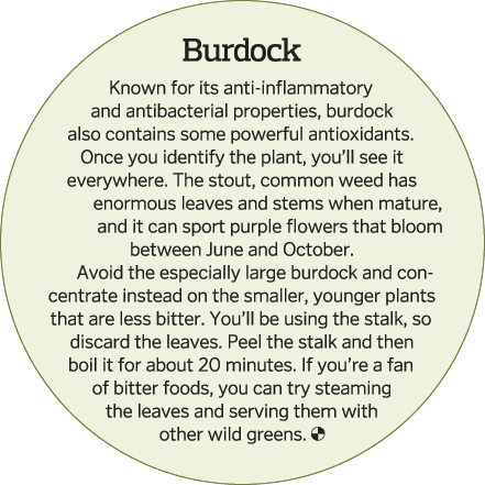  Burdock Known for its anti-inflammatory and antibacterial properties, burdock also contains some powerful antioxidan   