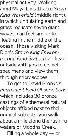 physical activity  Walking amid Maya Lin s 11-acre Storm King Wavefield (middle right), in which undulating earth and   