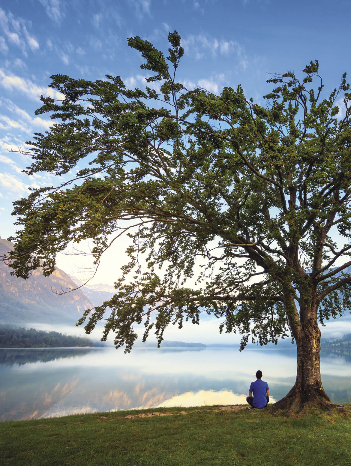 Man in blue shirt sitting under the tree by the Lake Bohinj, Slovenia 