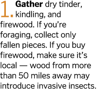 1  Gather dry tinder  kindling  and firewood  If you re foraging  collect only fallen pieces  If you buy firewood  ma   