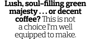 Lush  soul-filling green majesty       or decent coffee  This is not a choice I m well equipped to make 