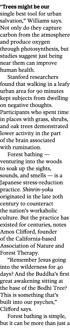  Trees might be our single best tool for urban salvation   Williams says  Not only do they capture carbon from the at   