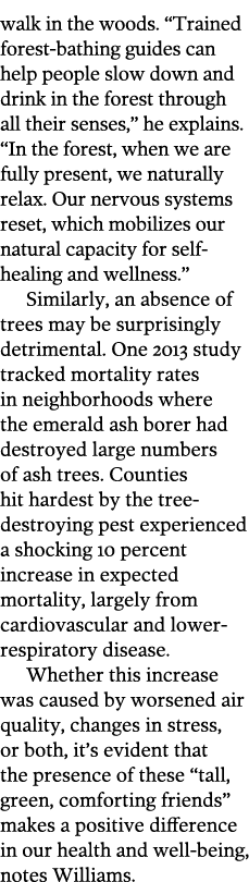 walk in the woods   Trained forest-bathing guides can help people slow down and drink in the forest through all their   