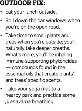 Outdoor Fix    Eat your lunch outside    Roll down the car windows when you re on the open road    Take time to smell   
