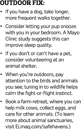 Outdoor Fix    If you have a dog  take longer  more frequent walks together    Consider letting your pup snooze with    