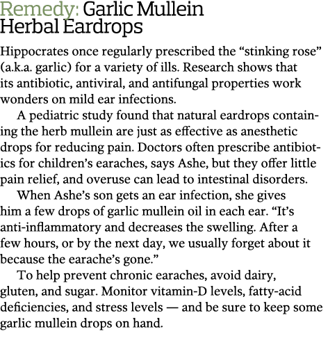 Remedy  Garlic Mullein Herbal Eardrops Hippocrates once regularly prescribed the  stinking rose   a k a  garlic  for    