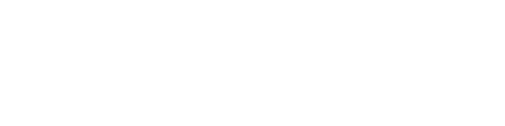 New Language  New Horizons