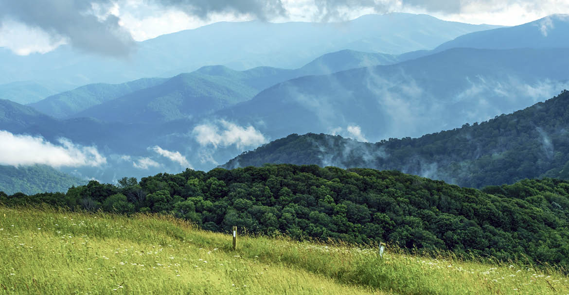 The Appalachian Trail at Max Patch 