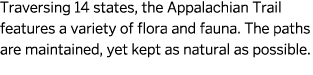 Traversing 14 states  the Appalachian Trail features a variety of flora and fauna  The paths are maintained  yet kept   