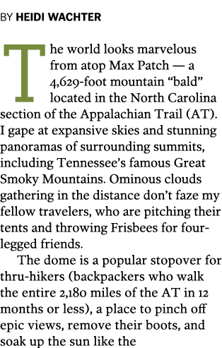 BY HEIDI WACHTER The world looks marvelous from atop Max Patch — a 4 629-foot mountain  bald  located in the North Ca   