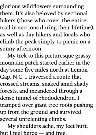 glorious wildflowers surrounding them  It s also beloved by sectional hikers  those who cover the entire trail in sec   