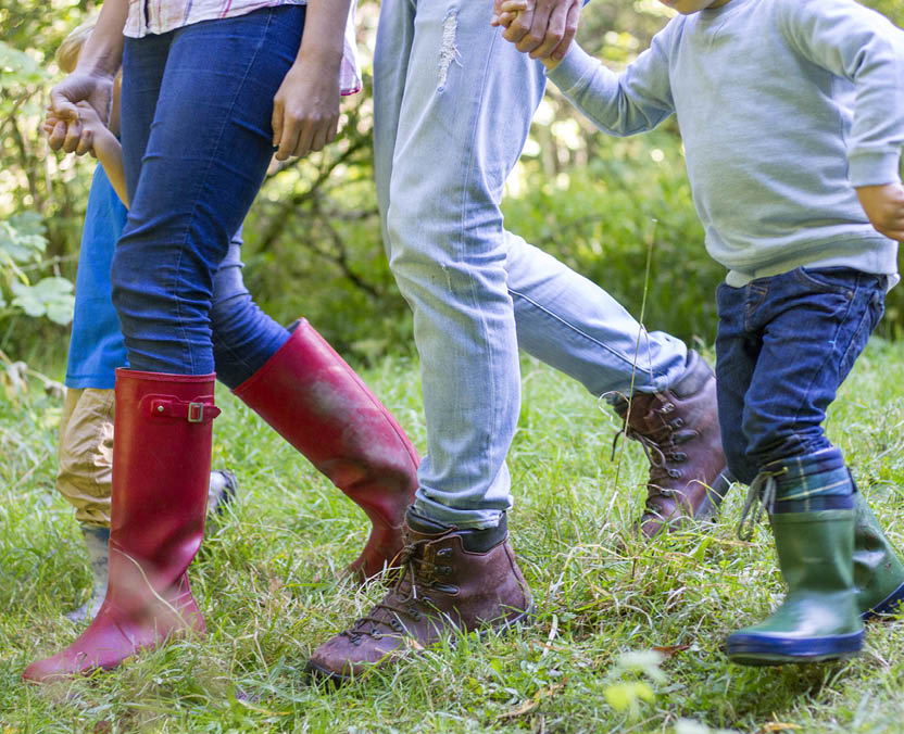A group of four are walking in the forest  There faces are unrecognisable as the camera shot only shows from the waste down 