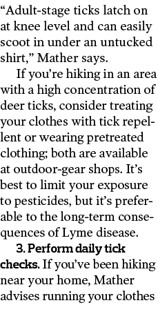  Adult-stage ticks latch on at knee level and can easily scoot in under an untucked shirt   Mather says  If you re hi   