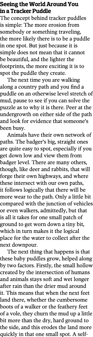 Seeing the World Around You in a Tracker Puddle The concept behind tracker puddles is simple  The more erosion from s   