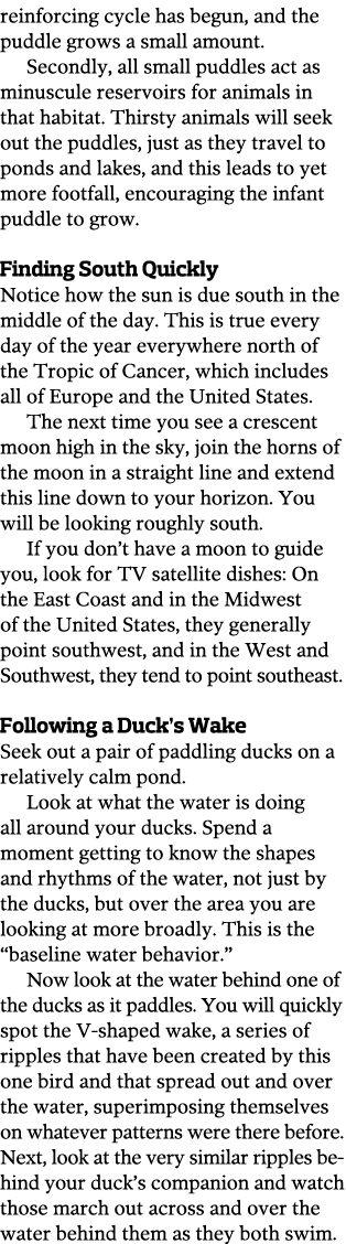 reinforcing cycle has begun  and the puddle grows a small amount  Secondly  all small puddles act as minuscule reserv   