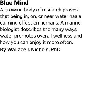 Blue Mind  A growing body of research proves that being in, on, or near water has a calming effect on humans  A marin   