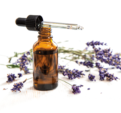 Herbal lavender oil and dried laverder flowes on white background