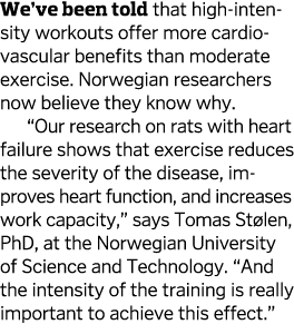 We ve been told that high-intensity workouts offer more cardiovascular benefits than moderate exercise  Norwegian res   