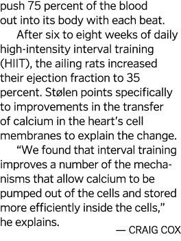 push 75 percent of the blood out into its body with each beat  After six to eight weeks of daily high-intensity inter   