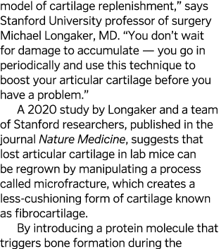 model of cartilage replenishment,  says Stanford University professor of surgery Michael Longaker, MD   You don t wai   