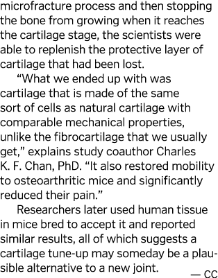 microfracture process and then stopping the bone from growing when it reaches the cartilage stage, the scientists wer   