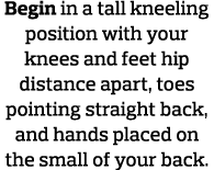 Begin in a tall kneeling position with your knees and feet hip distance apart, toes pointing straight back, and hands   