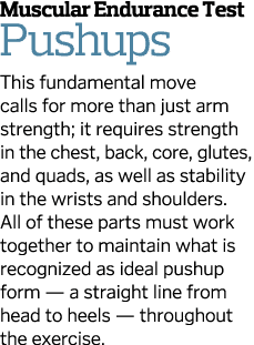 Muscular Endurance Test Pushups This fundamental move calls for more than just arm strength; it requires strength in    