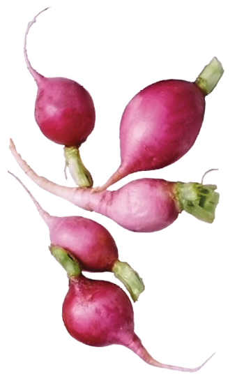 Purchased on 2-15-19 at largest size with extended rights from Getty images 