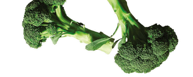 Overhead view of ingredients needed to make Lemon Roasted Salmon and Broccoli