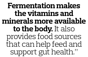 Fermentation makes the vitamins and minerals more available to the body  It also provides food sources that can help    
